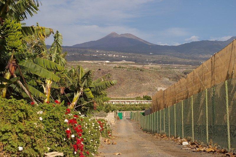 Hotel Rural El Navio - Adults Only อัลกาลา ภายนอก รูปภาพ