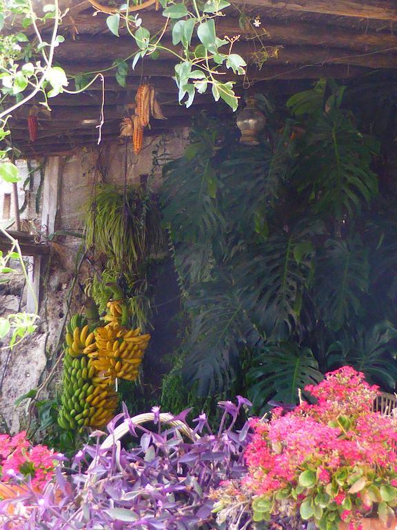 Hotel Rural El Navio - Adults Only อัลกาลา ภายนอก รูปภาพ